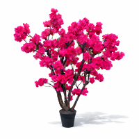 Bloesem tree art Beauty #2 (Exclusief Vaas)